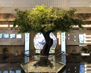 大都悦园4室2厅南北