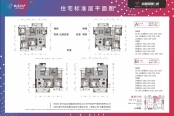 BC组团部分楼栋平面图