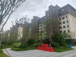 小区环境