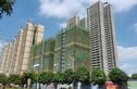 亿鼎公馆实景图