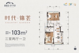 碧桂园时代天邑3室2厅1厨1卫建面103.00㎡