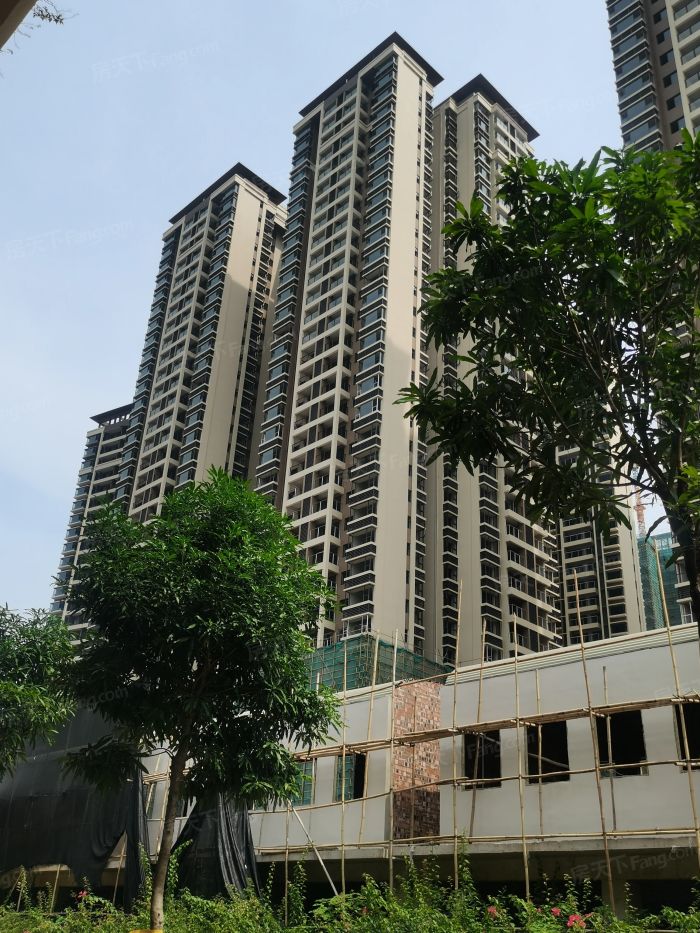 【洋浦星商住楼,店铺,门面,店面出租61出售61租赁价格信息】-南宁