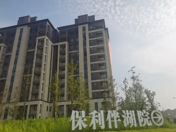 保利伴湖院实景图
