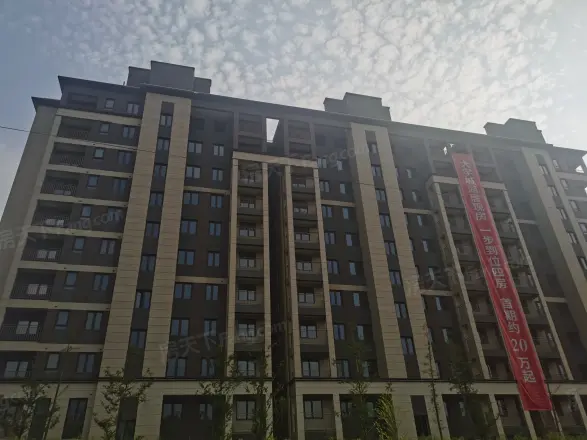 保利伴湖院实景图