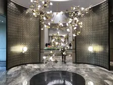 龙湖郁林府 6室3厅 南