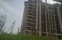 保利伴湖院实景图
