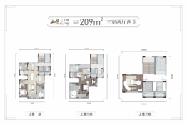 原乡牧歌3室2厅2卫建面209.00㎡