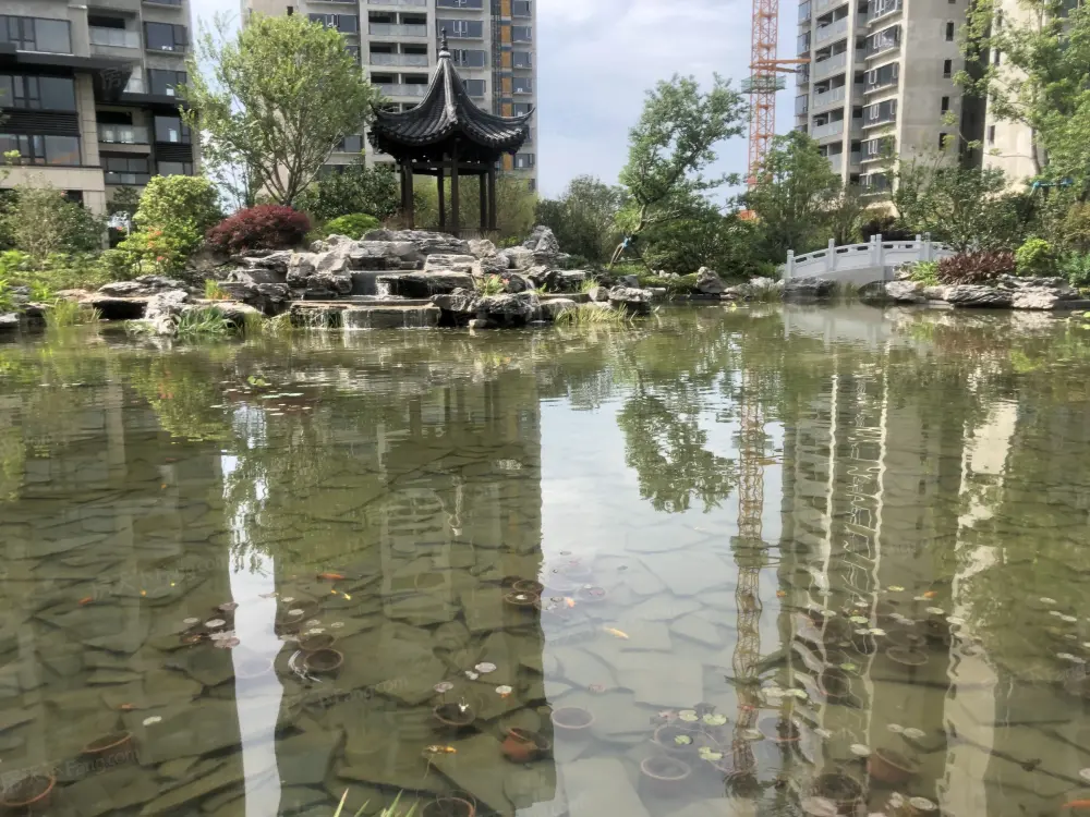 实景图