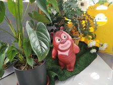 青啤君澜府 好楼层 全天采光 房东诚心出售