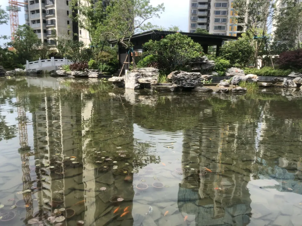 实景图