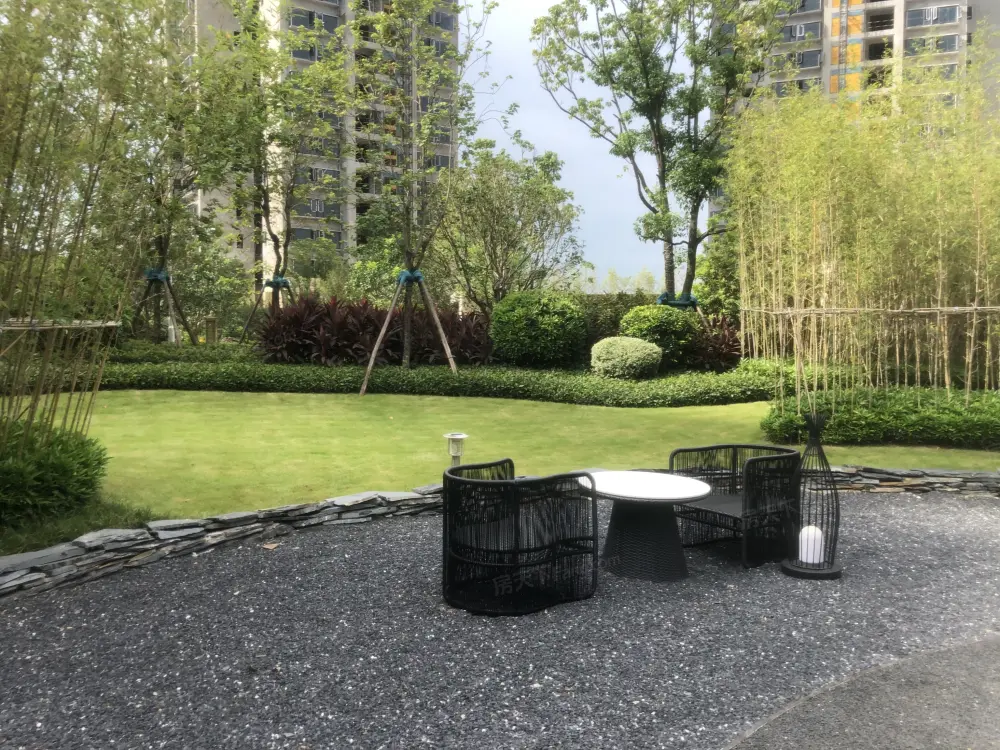 实景图