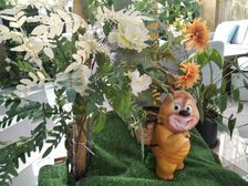 青啤君澜府精装3居好楼层近青河