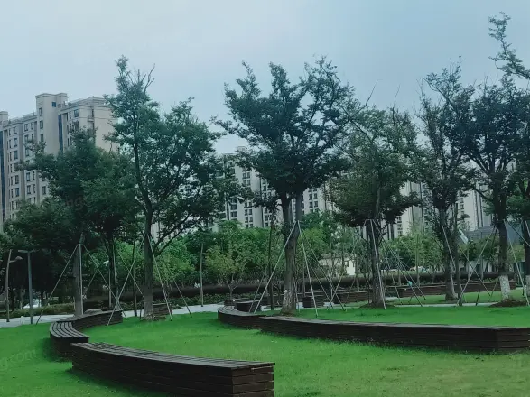 澜庭