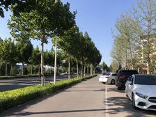 齐润花园顶复 俯瞰八 中 阳光楼层 带双车位 带储