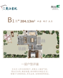 奥园楚江书院4室2厅1厨5卫建面204.13㎡