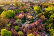 青龙寺