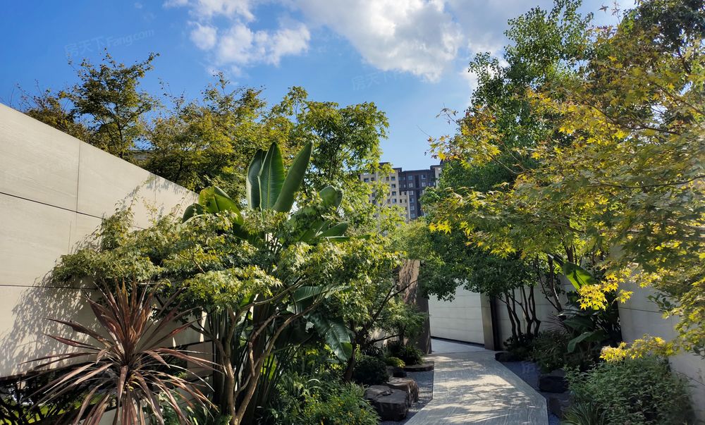 捡漏亏本30万急售龙湖嘉天下花园洋房正规4房朝中庭