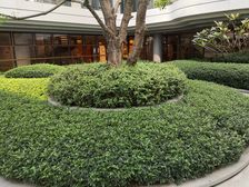 中海·十里溪境3室2厅西南