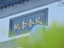 蜀道蓝城桃李春风4室2厅南