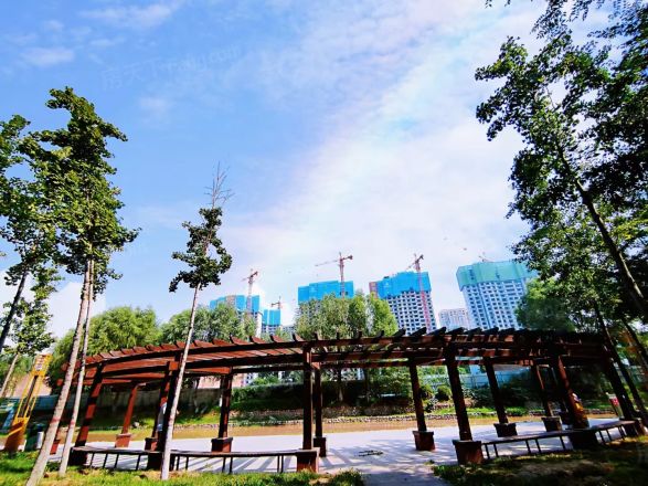 鲲鹏·香溪湾实景图