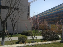 国风龙院二期上叠,诚心出售,价格可议