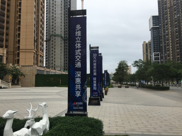 东方·铂悦府实景图