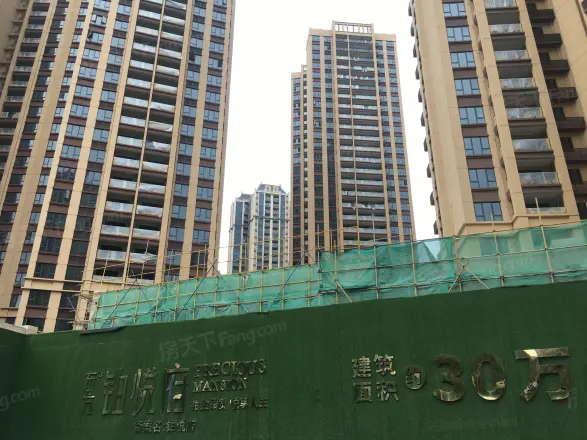 东方·铂悦府实景图