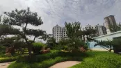 售楼处样板间外景