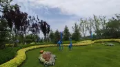 售楼处样板间外景