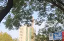国仕花语实景图