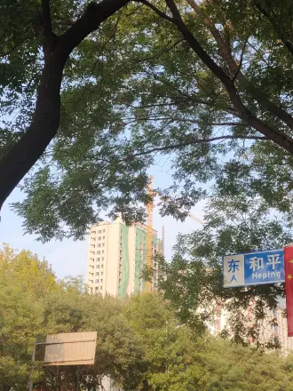 国仕花语实景图