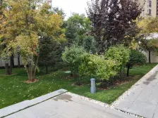 采光充足,配套设施齐全,交通便利。