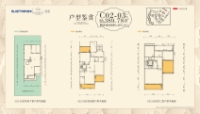 C02-03户型