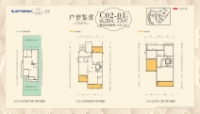 C02-01户型