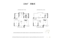 228平顶复5室3厅3卫