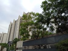 中建天府公馆3室2厅南北