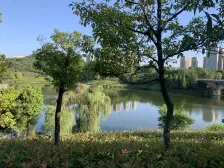 房源采光好 空气流通性强 户型方正 业主诚心出