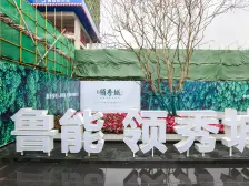 滨江新城 鲁能领秀城二街区(江津)四房65万