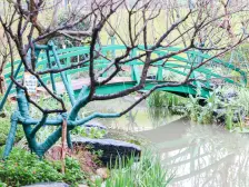 滨江新城 鲁能领秀城二街区(江津)四房86万