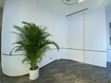 低总价,纯洋房,早看日出,晚看夕阳