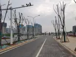 周边道路