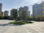 小区环境