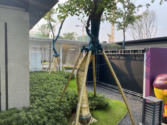 山语春风