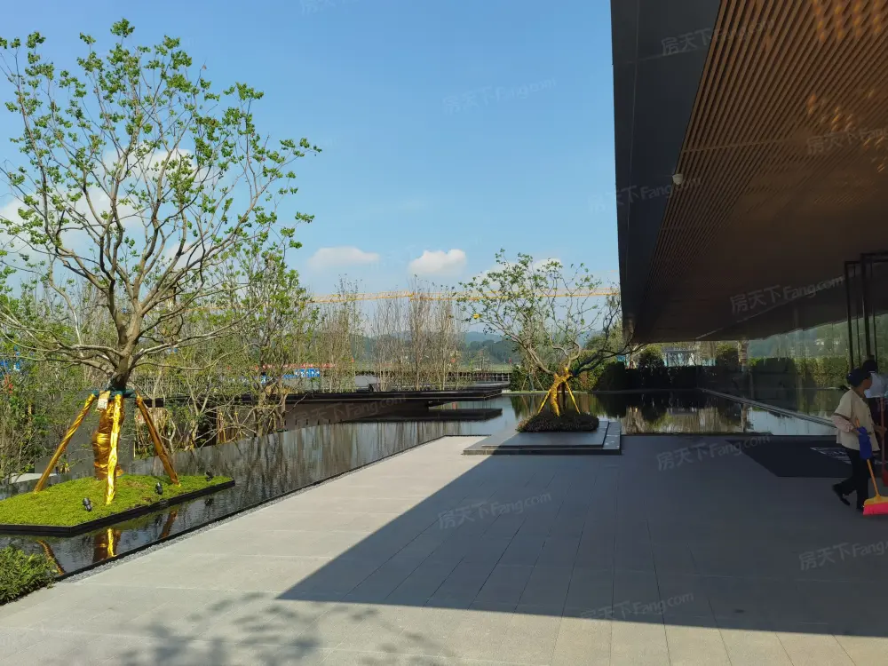 实景图