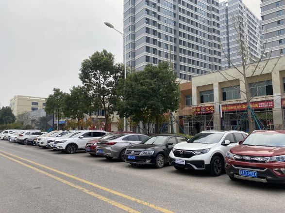 华远碧桂园·海蓝城实景图