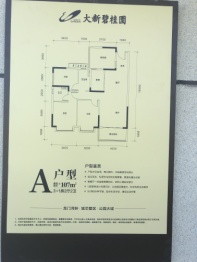 大新碧桂园3室2厅1厨2卫建面107.00㎡