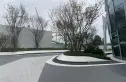 国宾上林栖实景图