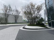 国宾上林栖3室1厅东南