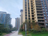 小区环境