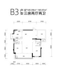 高峰·璟麟府B3户型146平